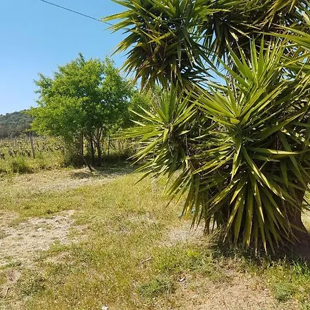 Chalet Sardegna * Bari Sardo
